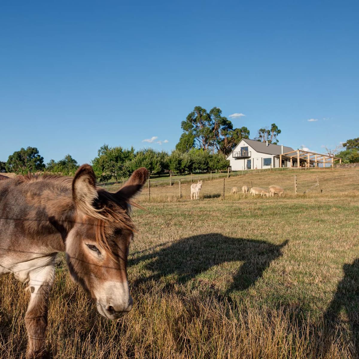 The property in its surrounding agricultural landscape